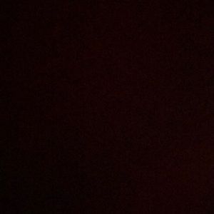 Meet your Posher, Orrie